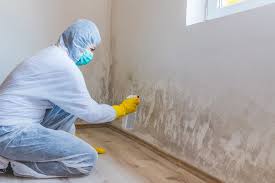 Best Asbestos and Lead Testing During Mold Inspection  in Lake St Louis, MO